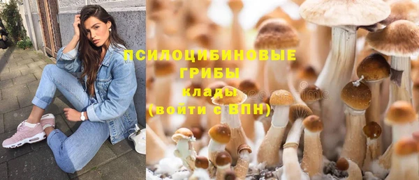 кокс Абаза