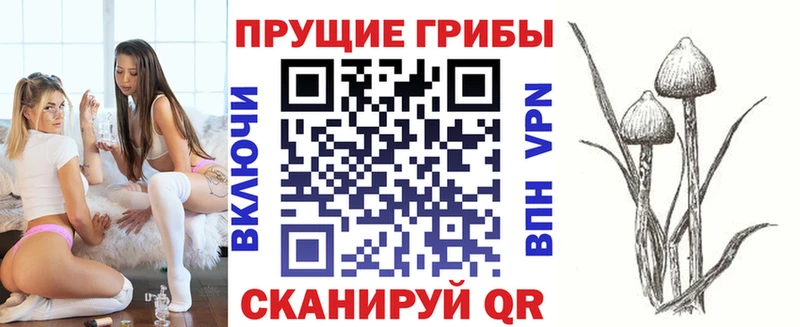 Галлюциногенные грибы MAGIC MUSHROOMS  сайты даркнета как зайти  Стрежевой 