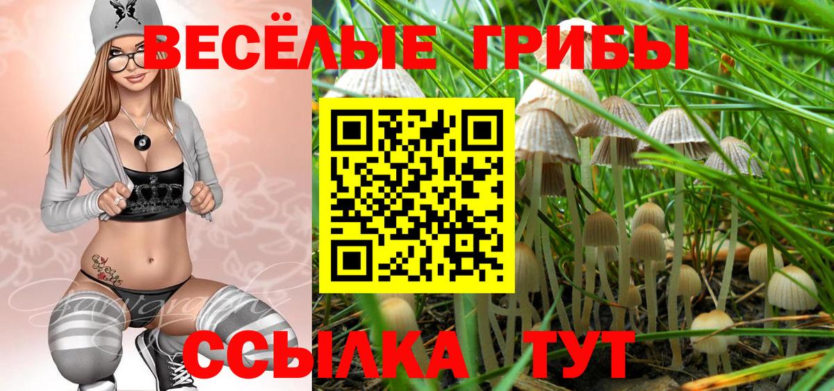 Псилоцибиновые грибы Magic Shrooms  Вход с VPN  Галлюциногенные грибы ЛСД  Стрежевой 