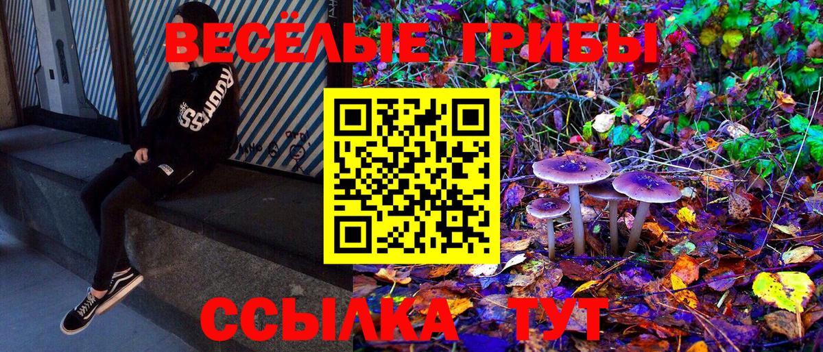 Псилоцибиновые грибы MAGIC MUSHROOMS Стрежевой